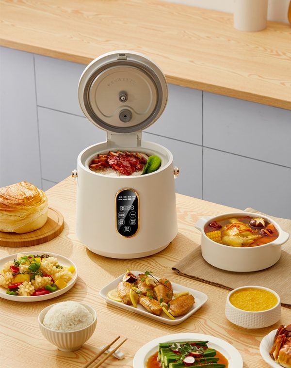 Low carbo rice cooker electric